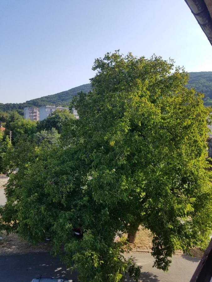 Retro apartment Malko Tŭrnovo Exterior foto